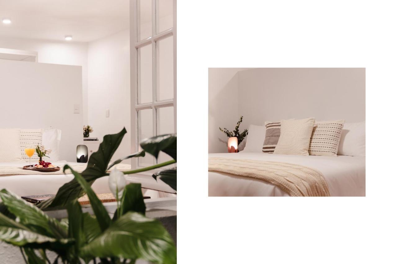 The Local Way - Hidden Treasure Apartment Mexico City Ngoại thất bức ảnh